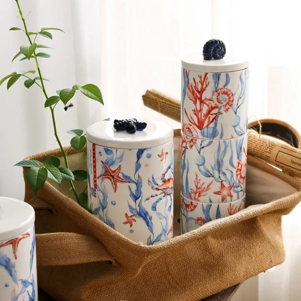 Ceramic-Cookie-Jars-Wholesale-Ceramic-Canisters-For-Kitchen-7