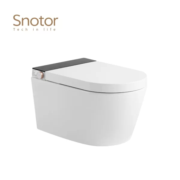 Morden-Tankless-Smart-Toilet-Wholesale-1