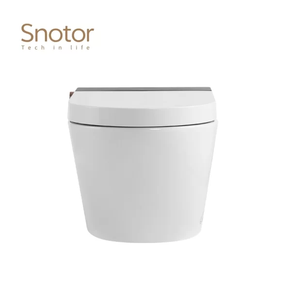 Morden-Tankless-Smart-Toilet-Wholesale-3
