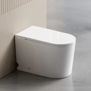 back-to-wall-smart-toilet-wholesale-custom-tankless-toilet-4