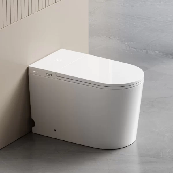 back-to-wall-smart-toilet-wholesale-custom-tankless-toilet-4