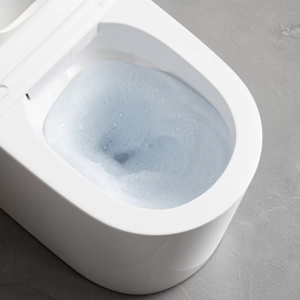 back-to-wall-smart-toilet-wholesale-custom-tankless-toilet-5