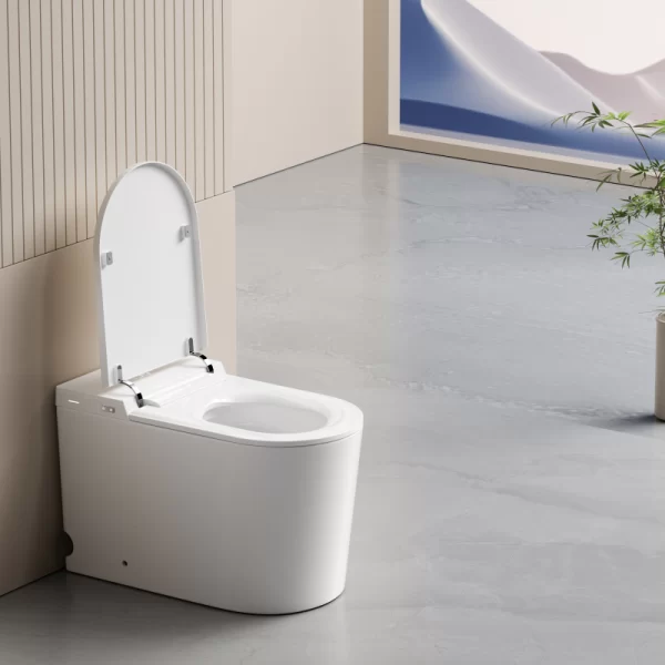 back-to-wall-smart-toilet-wholesale-custom-tankless-toilet-6