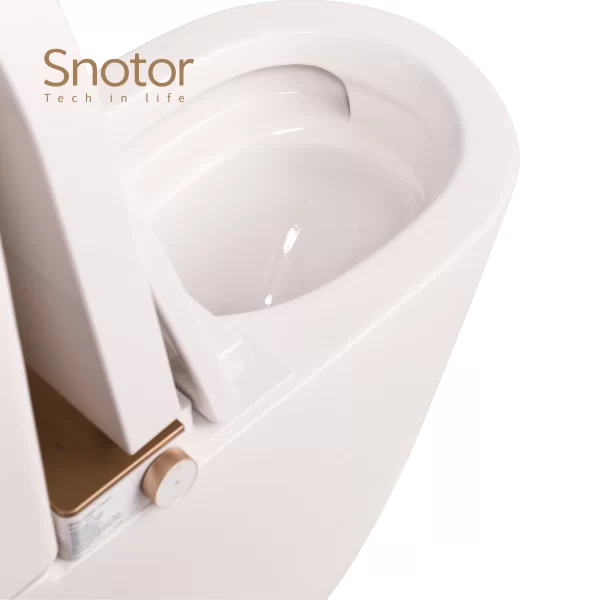 custom-smart-toilet-with-tank-wholesale-remote-control-1