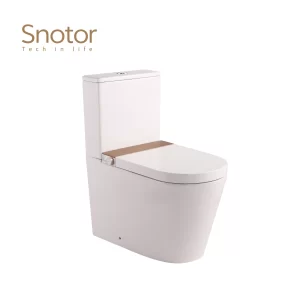 custom-smart-toilet-with-tank-wholesale-remote-control-6