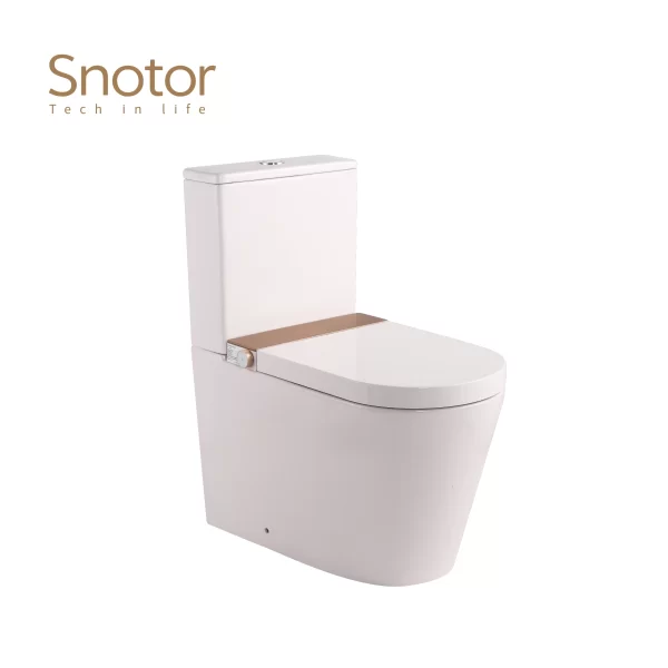 custom-smart-toilet-with-tank-wholesale-remote-control-6