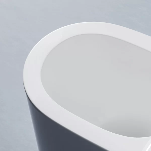 smart-tankless-toilet-wholesale-intelligent-toilet-custom-3