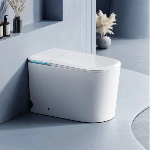 smart-tankless-toilet-wholesale-intelligent-toilet-custom-4