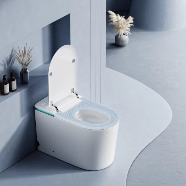 smart-tankless-toilet-wholesale-intelligent-toilet-custom-5