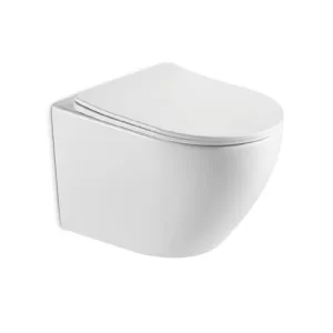 wholesale-washdown-wall-hung-toilet-toilet-factory-supply-sh-001-2
