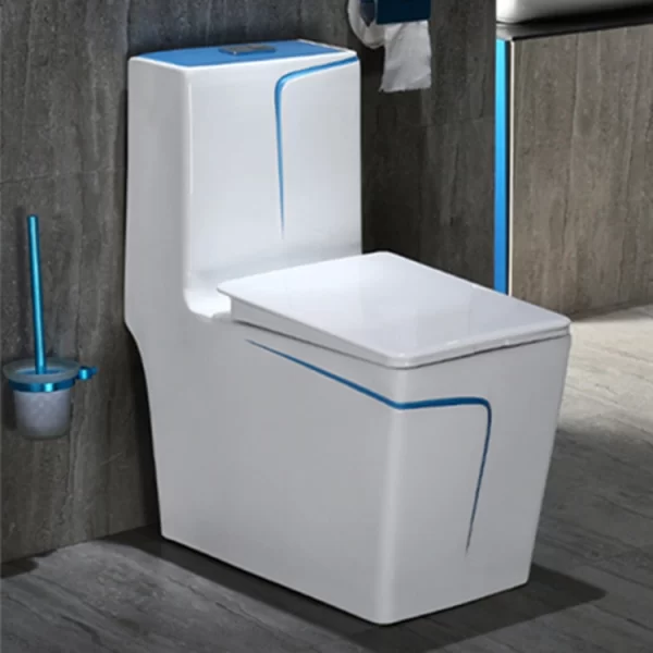 OEM-One-Piece-Dual-Flush-Toilet-1