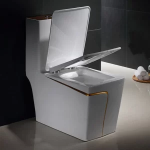 OEM-Einteilige-Toilette-mit-Doppelspülung-3