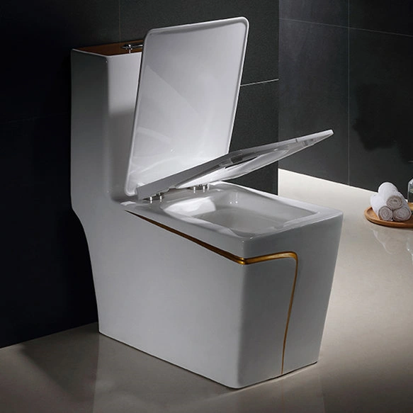 OEM-Einteilige-Toilette-mit-Doppelspülung-3