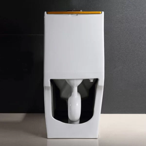 OEM-One-Piece-Dual-Flush-Toilet-7