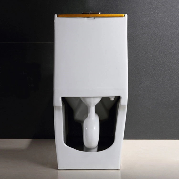 OEM-One-Piece-Dual-Flush-Toilet-7