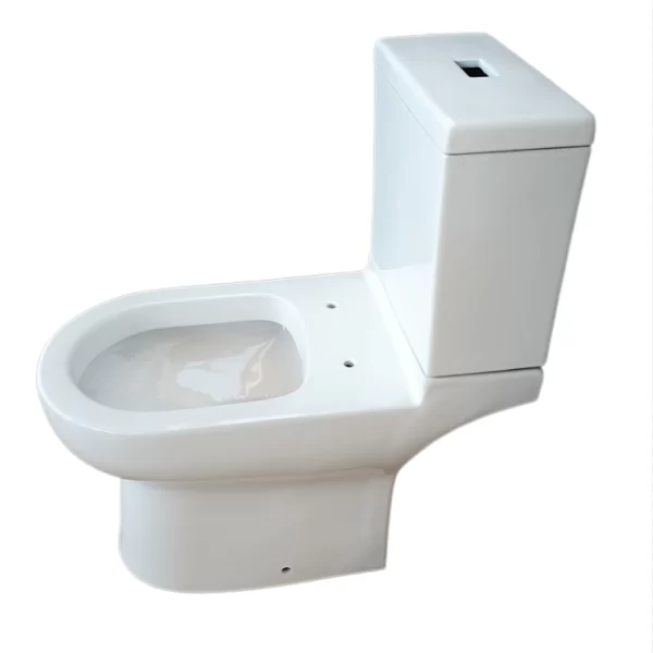 Wholesale-Washdown-Toilet-2