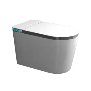 wholesale-smart-toilet-with-design-oem-smart-toilet-factory-1